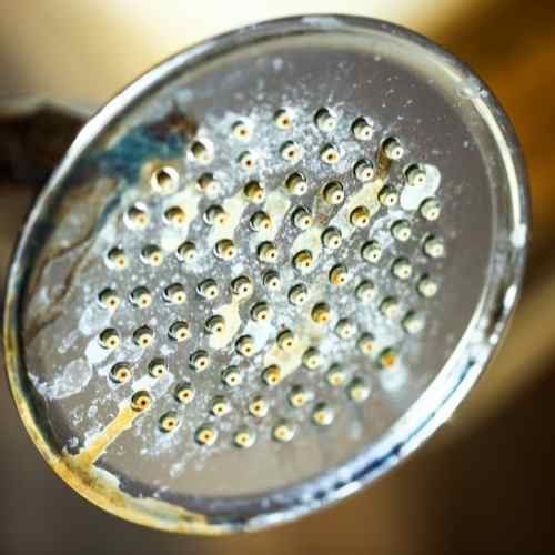 How Do I Know My Shower Head Needs Replaced?